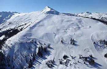 公寓式酒店 Angerer Alpine Und Familienappartements Tirol 4*